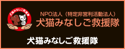 犬猫みなしご救援隊